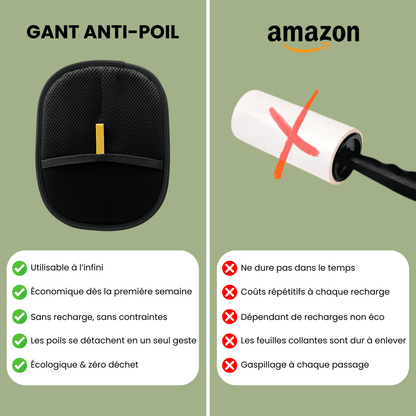 Raukner™ ZéroPoil – Gant Anti - Poils Ultra Efficace - Raukner.com